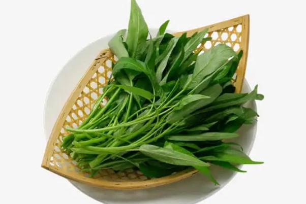 通心菜對(duì)身體有什么好處 通心菜對(duì)人體有什壞處