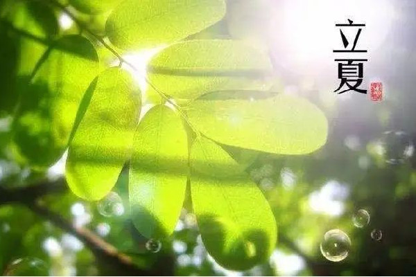 立夏吃蛋的風(fēng)俗由來 立夏吃咸鴨蛋的寓意