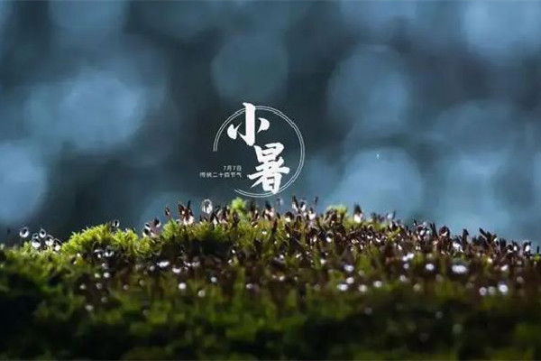 小暑節(jié)氣的寓意和傳統(tǒng) 小暑節(jié)氣有什么特點(diǎn)