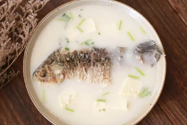 鯽魚湯和黑魚湯哪個(gè)更好 鯽魚湯可以天天喝嗎