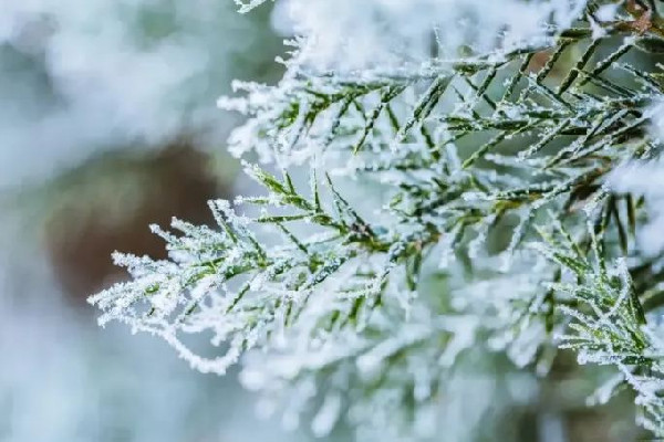 今冬北方首場大范圍雨雪來襲 雨雪天氣要注意什么